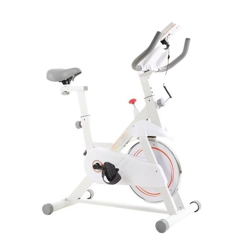 دراجة تمارين احترافية جديدة، ب - مراجعة Home Gym Layout وسعره