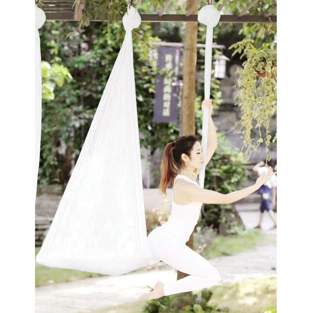 أرجوحة يوغا هوائية من النايلون - مراجعة Yoga Trapeze Swing وسعره